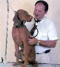 gastrenteriko.jpg
