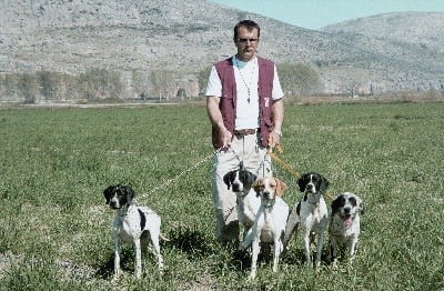 ekpedaifsi1.jpg