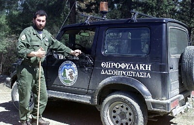lathrothiria1.jpg