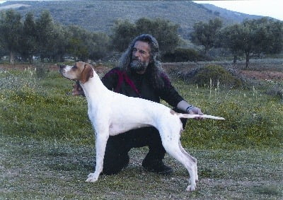 pointer2.jpg