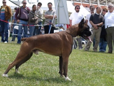 showoff7.jpg