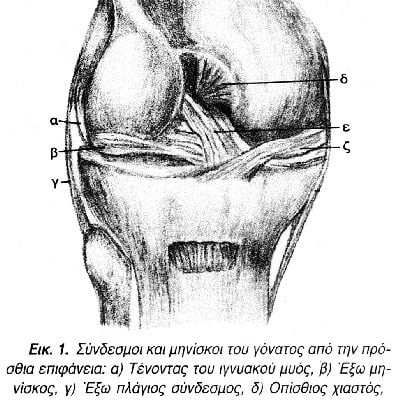 arthrosi_4.jpg