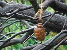 grenade