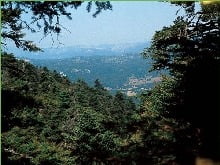 parnitha