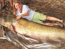 big_fish