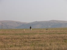 hunting-summer