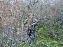 duck_evros_1