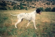 hunting_mountain_side_1