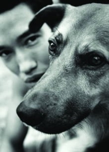 what_dog_thinks
