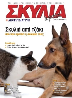 91_EXOFULLO_A